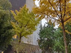 -罔极寺