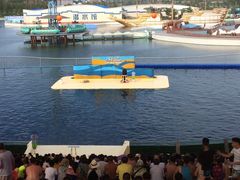 -秦皇岛乐岛海洋王国