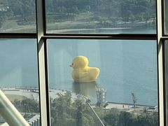 -深圳人才公园