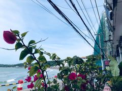 -七七家的糖水店(南湾街1号店)