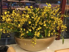 -多多旺港式茶餐厅(新区店)