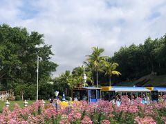 -三亚南山文化旅游区