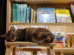 -猫的天空之城概念书店(杭州南宋御街店)