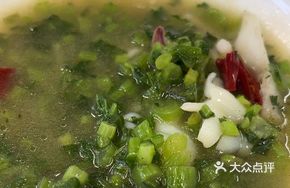 Green Snow Cabbage Squid