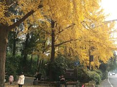 -成都市活水公园