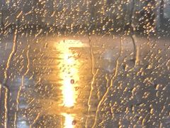 -一口猪海鲜浑锅·东北家常菜