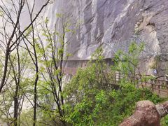 -鹿院坪生态旅游景区