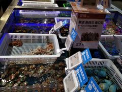 -盒马X会员店(王府井奥莱UP TOWN店)