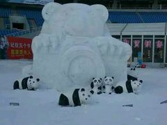 -沈阳奥体冰雪嘉年华