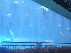 -华夏文旅西安度假区