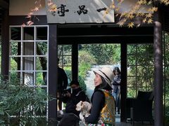 -中国茶叶博物馆(双峰馆区)