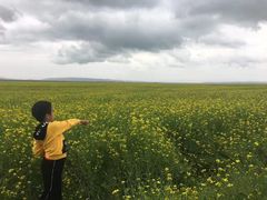 -扁都口生态休闲旅游区