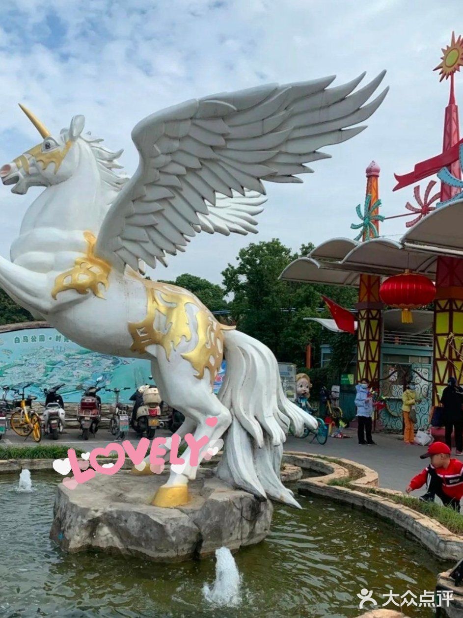 90元去带有白马的游乐园玩吧