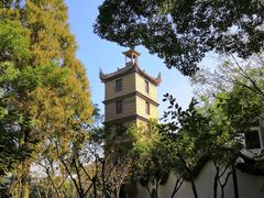 景点-朱家角课植园