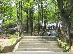 -阳台山森林公园