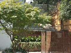 -自在弥林花园餐厅(云栖店)