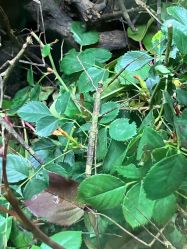 点击看大图 -酷嗒动物文化乐园(cutezoo西溪乐天城店)