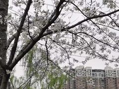 -自然谷恐龙园