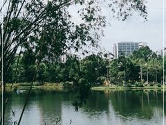 -晓港公园