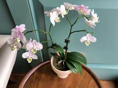 -南堂馆·新川菜(春熙路店)