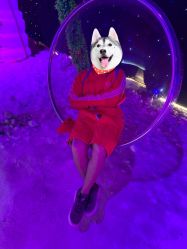 -圣名游乐城冰雪大世界