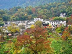 -塔川景区