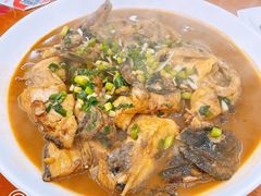 -全乐鱼馆·淳牌有机鱼直营店