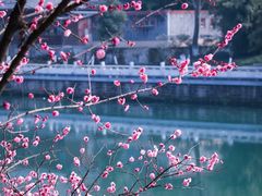 -望江楼公园