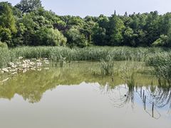 -上海吴淞炮台湾国家湿地公园