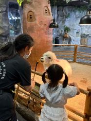 -Zoolung Zoolung动物主题公园(海信广场店)