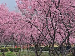 -白塘生态植物园