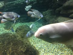 -绍兴梦享海洋公园