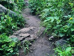 -灵山