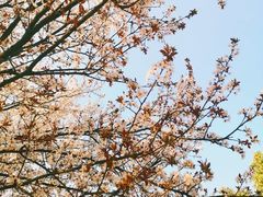 -江南大学(蠡湖校区)