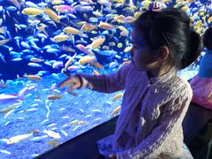 -成都浩海立方海洋公园