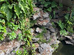 -水濂山森林公园