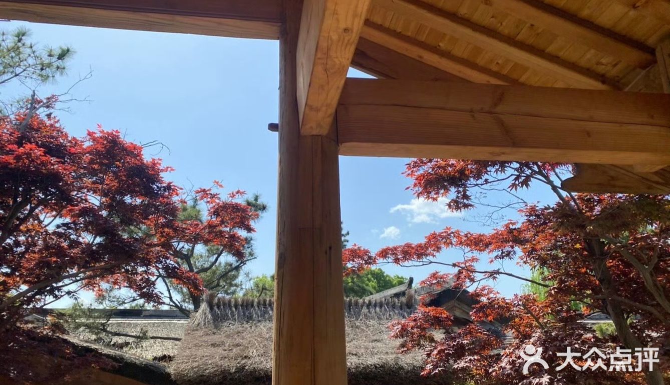 - 蝉鸣裹着冰汽水的午后