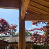 - 蝉鸣裹着冰汽水的午后