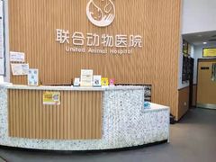 -联合动物医院(光谷诊疗中心)