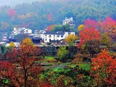-塔川景区