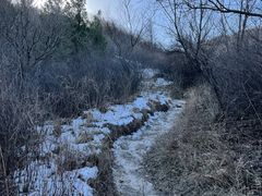 -阳台山自然风景区