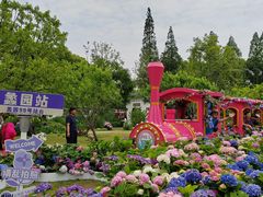 -无锡蠡湖国家湿地公园-蠡园