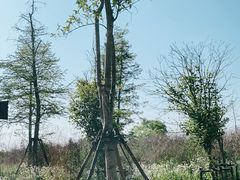 -广富林郊野公园