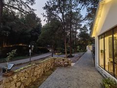 -竹上云想餐厅民宿