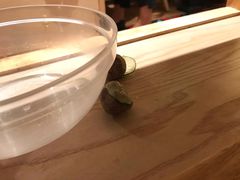 手打牛肉丸-椰夫人·养生椰子鸡(金沙洲永旺店)