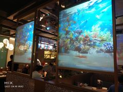 -鲜潭蒸汽石锅鱼(五道口购物中心店)