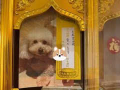 -上海青龙寺