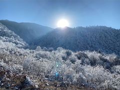 -卧龙中华大熊猫苑神树坪基地