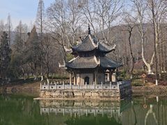 -习家池