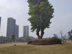 -府河摄影公园